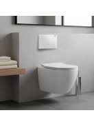 Delano fali rimless WC soft-close ülőkével