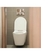 Ride fali, rimless WC soft close ülőkével